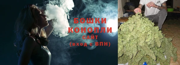 молекула духа Магадан