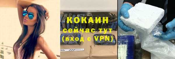 молекула духа Медвежьегорск