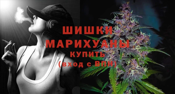 МДПВ Магас