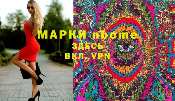 молекула духа Медвежьегорск