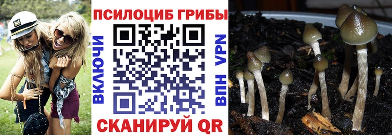 Галлюциногенные грибы мухоморы  Михайловка 