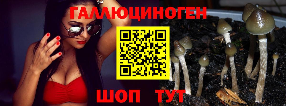 Михайловка  Галлюциногенные грибы Magic Shrooms  Вход с VPN 